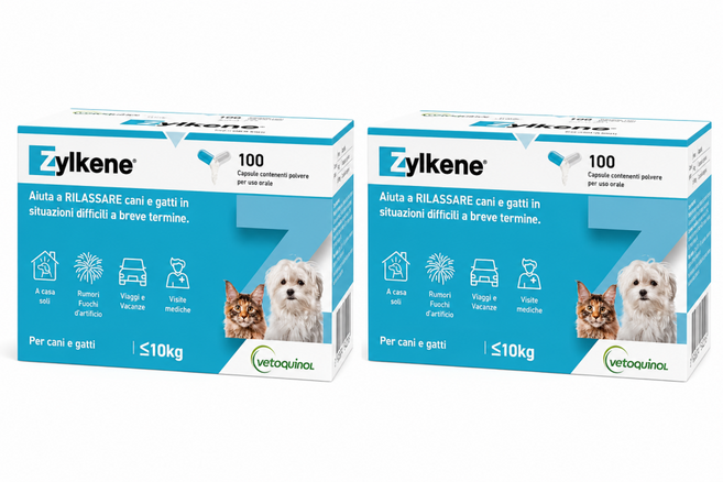 질켄 75mg 소형견 100정 2개 강아지 고양이 스트레스 분리불안