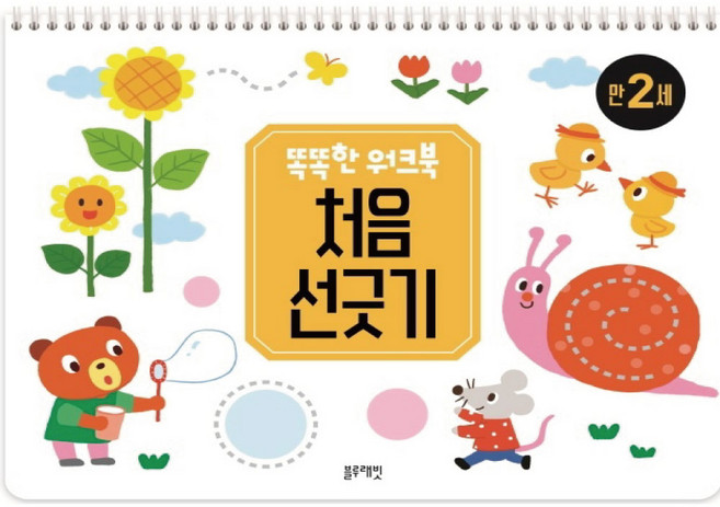 블루래빗 똑똑한 워크북 처음 선긋기 만 2세 홈스쿨링, 똑똑한 워크북5세(M)