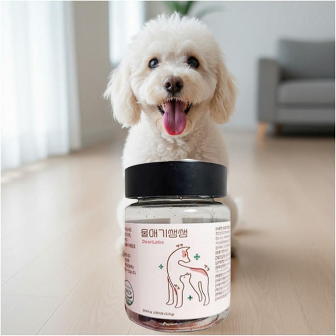 울애기쌩쌩 강아지눈물영양제 강아지눈영양제, 1개, 60정