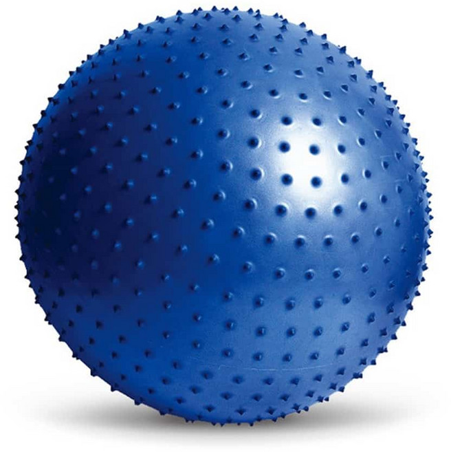 마사지 짐볼 블루 65cm 튼튼짐볼 찜볼 홈트족