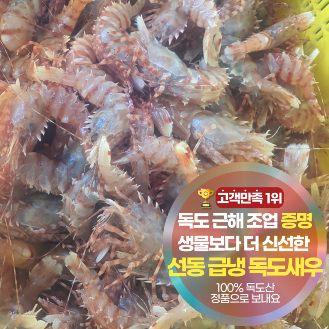 삼시세끼연구소 최상품 급냉 독도새우 독도 닭새우, 1세트, 500g