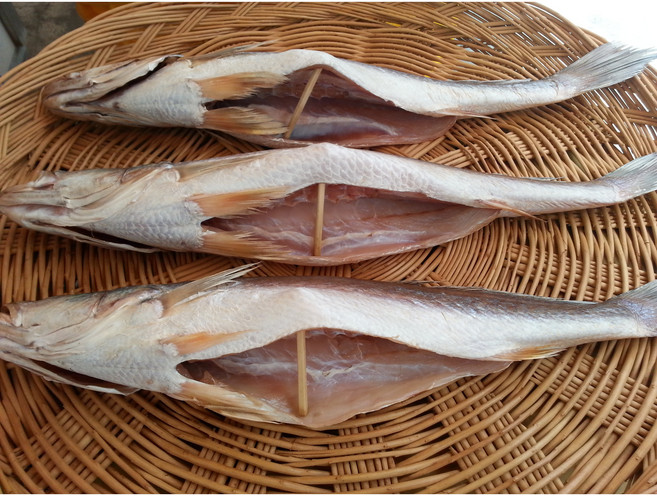 반건조생선 말린생선 뾰족조기 41-42cm 파는곳 싱싱수산, 1개