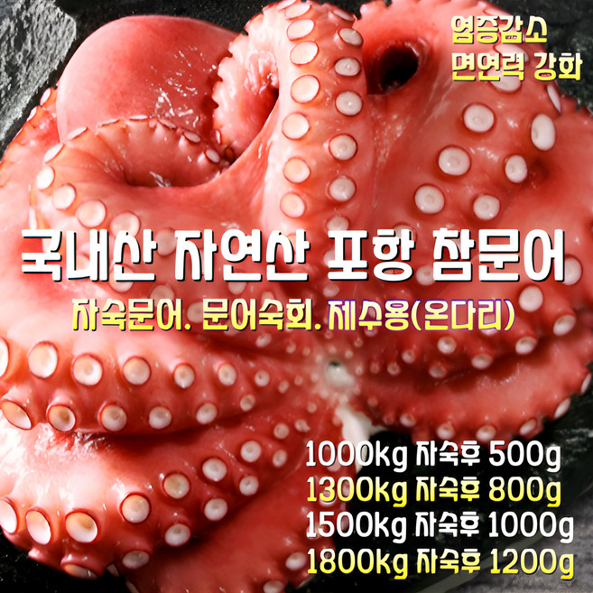 [산지직송] 국내산 자연산 동해. 통영. 포항 참문어 돌문어 피문어 자숙문어 숙회 1000g 자숙후 500g 1박스 재수용 선물용, 참문어 돌문어 자숙문어 숙회 1000g 자숙후 500g
