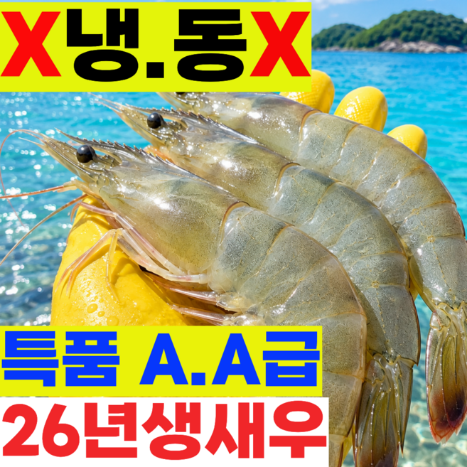 생새우회 추천 TOP10 — [26년특품AAA등급] 활새우 회 생새우 흰다리새우,