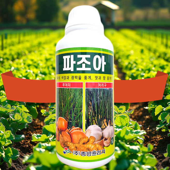 대파 영양제 비료 파 쪽파 대파전용 파전용 쪽파전용 마늘 양파 생강 대파 잎마름 잎끝마름에 집 대파키우기 텃밭 파조아, 1개, 1L