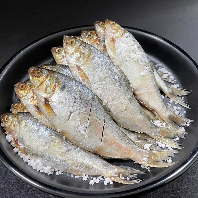 25년산 제철 구이용 냉동 전어, 1개, 1kg(12-15미 내외)