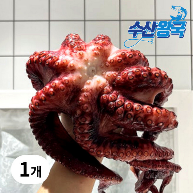 수산왕국 자숙 문어 삶은문어 숙회 제수용, 1개