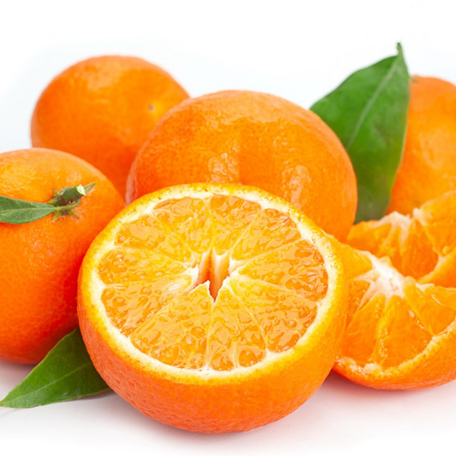 [제주직송] 선명 노랑 속 달콤한 제주 하우스 감귤, 1개, 하우스감귤 5kg 소과&꼬마과