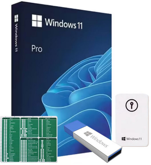 한국 MS 마이크로소프트 Windows11 Pro FPP USB 설치 영구사용 윈도우11 프로 Excel 단축키 마우스 패드
