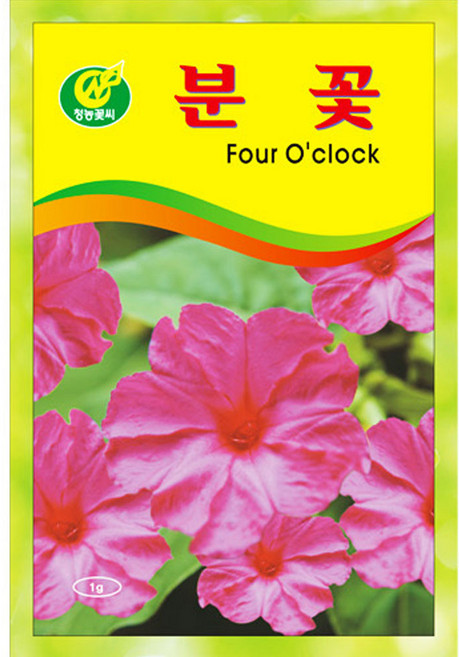 세인화분 분꽃 1g - 꽃씨 꽃씨앗 씨 씨앗, 1개