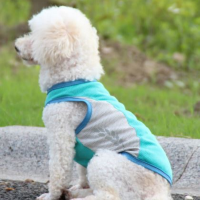 큐앤캐롯 반려동물 자외선차단 고급 배색 쿨조끼, 그린, 1개