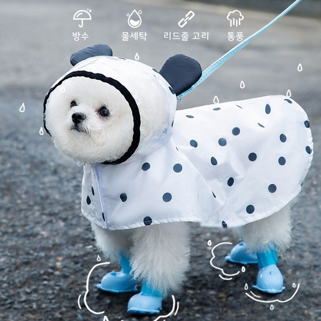 땡땡이 화이트 곰돌이귀 우비망토 반려동물 강아지비옷 후드우비 하네스 레인코트, 1개