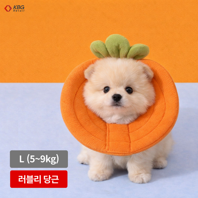 케이비지리테일 허니캐럿 강아지 넥카라 폭신하고 귀여운 꿀벌 당근 모양, 1개, 당근 주황