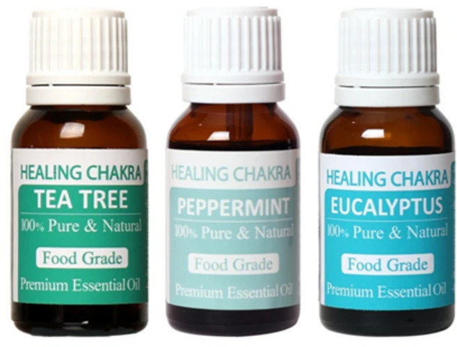 식용 유칼립투스 페퍼민트 티트리 블렌딩 아로마 에센셜 천연 100% 순수 오일 세트 요가 반신욕 식품향, 1개 - 쿠팡