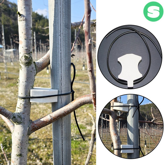 나무사이 묘목지주고정 과수자재 상인농자재, 나무사이/10개(끈+스펀지)