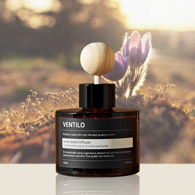 모하비고스트 차량용 방향제 디퓨저