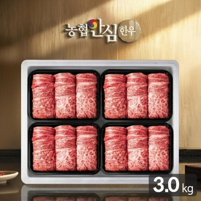 농협안심한우 금빛8호 한우등심 선물세트 3.0kg(냉장1등급), 1개