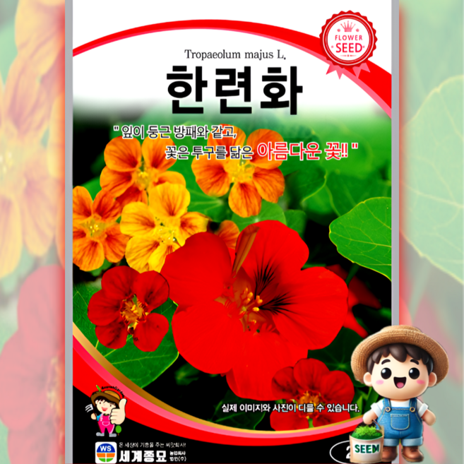 남흥원예사 한련화 2g 원예 관상 조경 화단 용 꽃 씨 씨앗 종자 세계종묘, 1개
