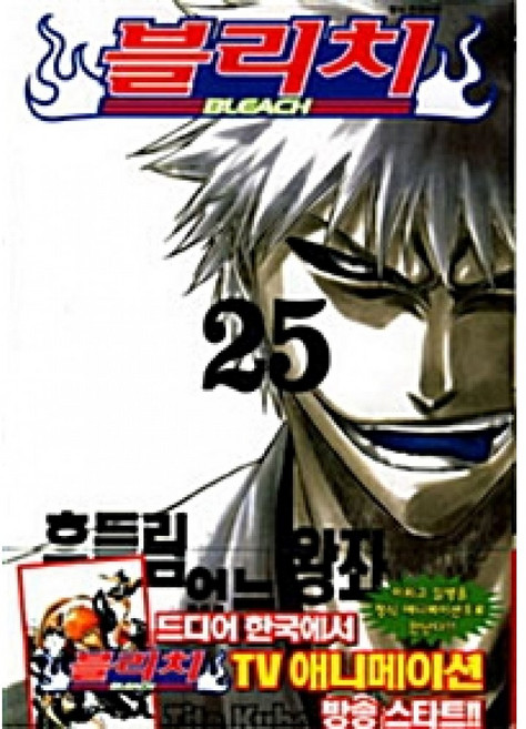 블리치 BLEACH 25, 서울미디어코믹스(서울문화사), [만화] 블리치 BLEACH