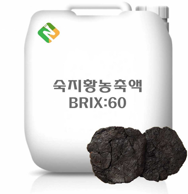 숙지황농축액 20kg, 단품, 1개