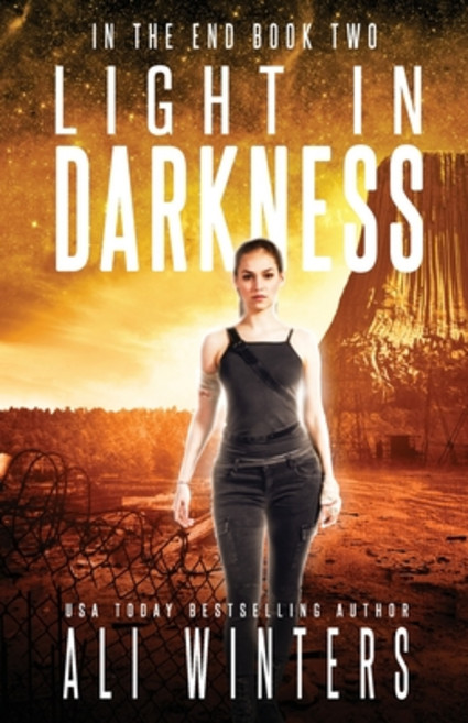 (영문도서) Light in Darkness Paperback, Rising Flame Press, English, 9781945238093