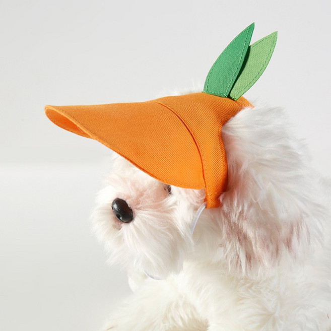 신스월드 강아지 모자 반려견 고양이 애견 모자 캡모자, 1개, 주황색