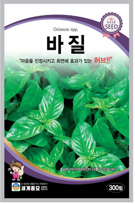 모칸도 바질 씨앗 300립 세계종묘 허브씨앗, 1개