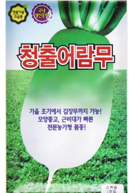 영농사 청출어람무 씨앗 1000립 가을무씨, 10개