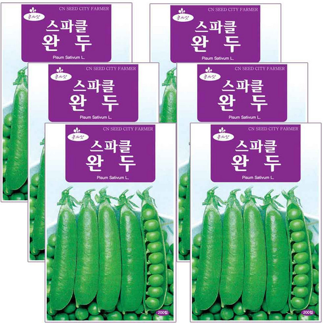 스파클 완두콩 씨앗 콩씨 200립, 6개