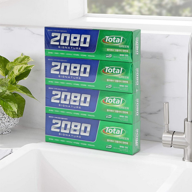 2080 시그니처 토탈그린 치약 125g, 4개
