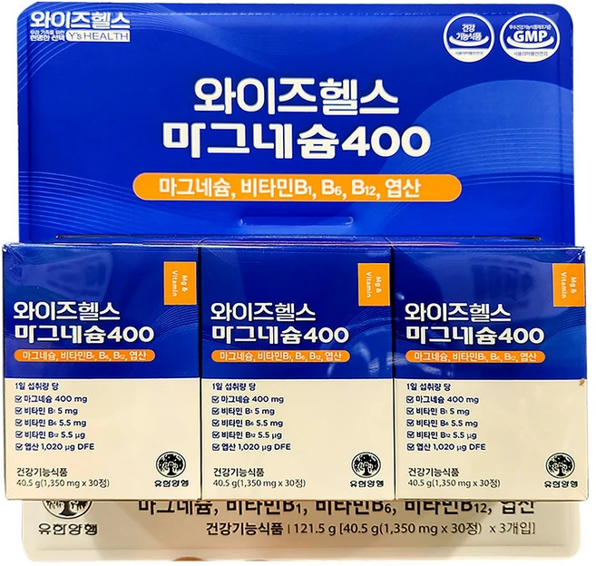 와이즈헬스 마그네슘400 40.5g, 3개, 30정 - 쿠팡