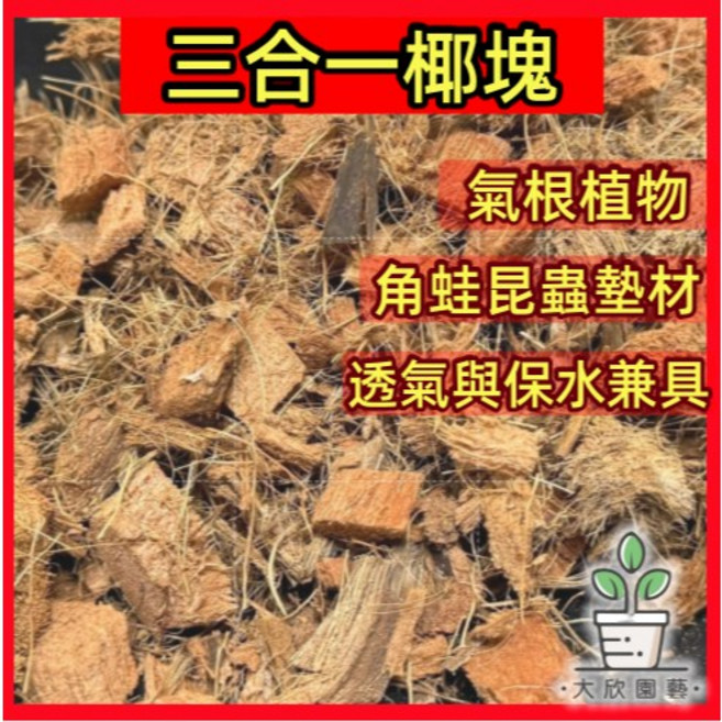 大欣園藝 顆粒椰丁 三合一椰塊 觀葉植物 蘭科植物 角蛙昆蟲墊材, 5公升, 1個