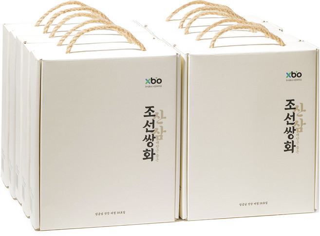 산삼배양근 조선쌍화 사포닌 면역강화 피로회복, 10박스, 10개입