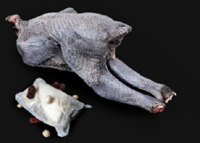 국내산 오골계 토종닭 1마리 생닭 백숙용 삼계탕용닭, 1.55kg, 2개