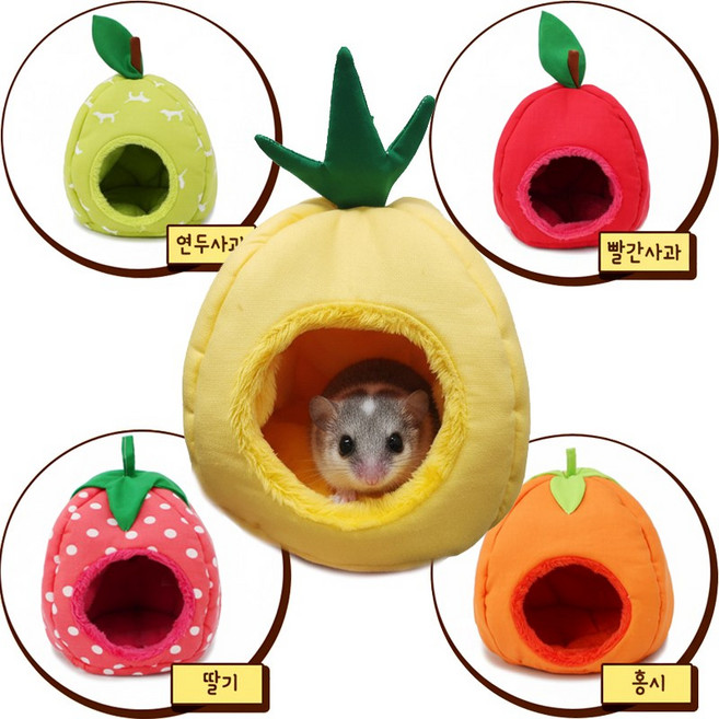 피그미다람쥐 슈가글라이더 햄스터 과일모양 은신처 포치, 1개, 주황