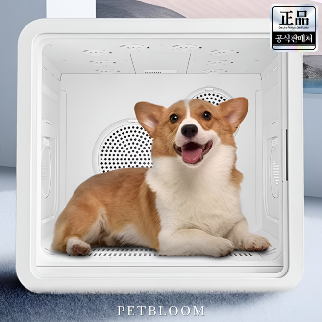 펫블룸 컴포트 펫 드라이룸 드라이기 강아지 애견 고양이 드라이하우스 건조기 털말리기 털건조기 에어탱크 중형견, 1개, 퓨어 화이트, Pre85