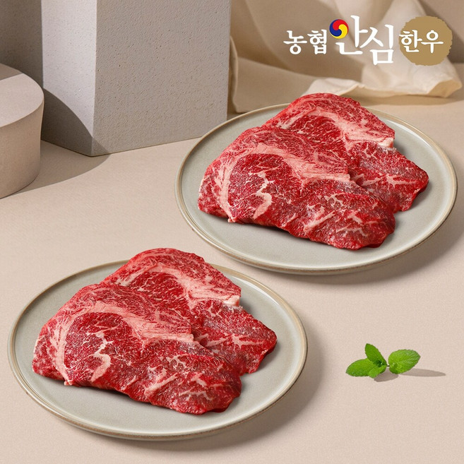 농협안심한우 1등급 한우 등심 250g+250g, 250g, 2개