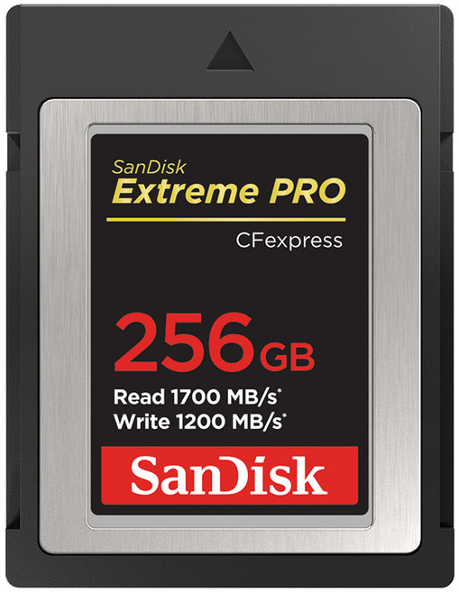 샌디스크코리아 공식인증정품 Extreme Pro 익스트림프로 CFexpress 카드 SDCFE 256GB, 1개