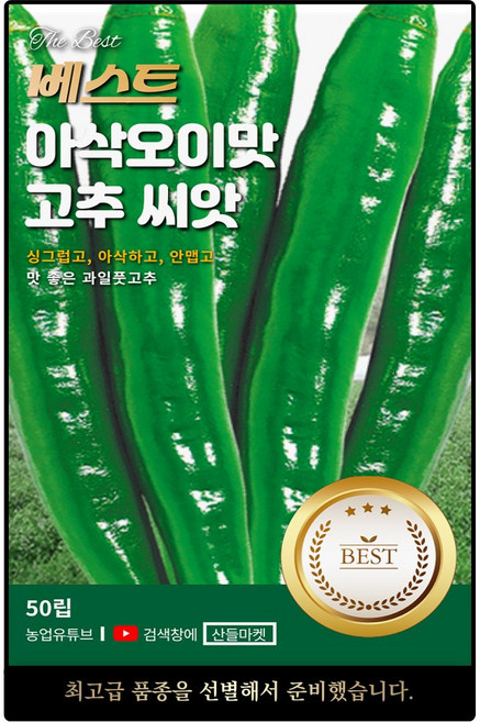 베스트 아삭오이맛 고추씨앗 50립 안맵고 맛 좋은 과일 풋 고추씨 종자, 1개