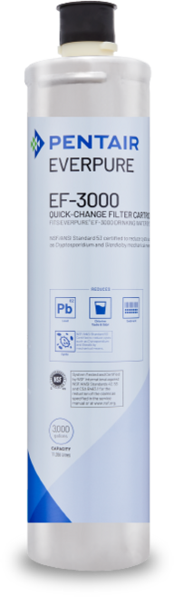 【EVERPURE 愛惠浦】碳纖活性碳濾心, 1個, EF3000 cart