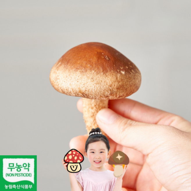 무농약 송향버섯 표고버섯 송이버섯 송화 송고 못난이 파지 슬라이스 건버섯 500g 1kg, 송향버섯 건버섯 1kg, 1개