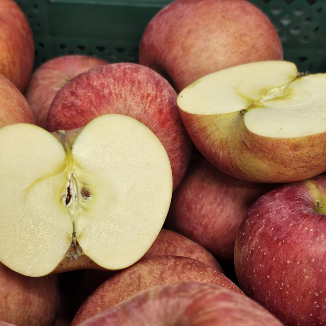 [단독특가] 껍질째먹는 실속형 못난이 기스 사과, 1개, 10kg (가정용)