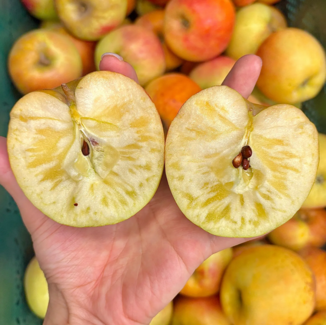 [도전최저가] 못난이 사과 초특가 가정용중대과, 1개, 3kg