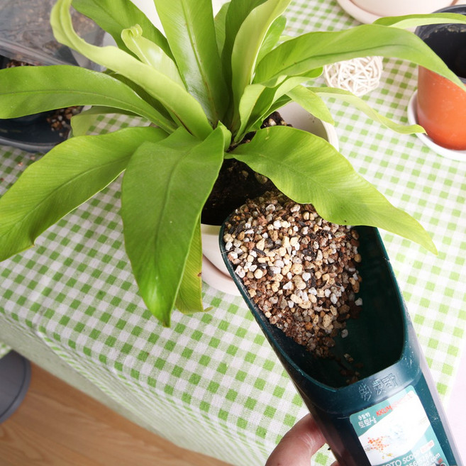 플라스틱 모종삽 꽃삽 원예용 분갈이삽 원예도구, 항균 토토모종삽(소), 2개