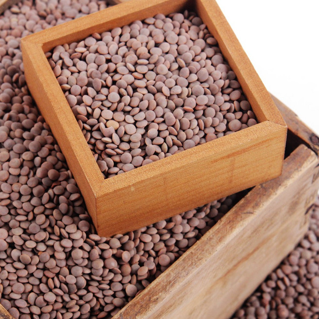 원시인농산 렌틸콩 1kg 비탈피렌틸콩, 1개