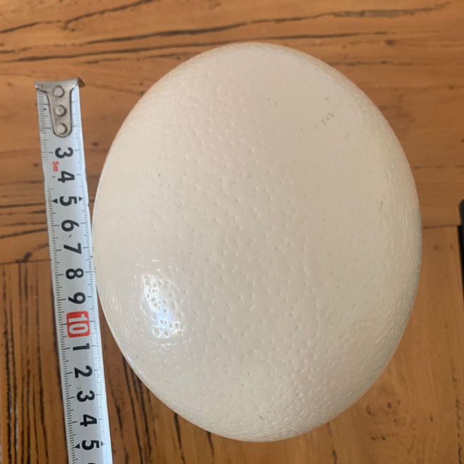 타조알 계란 달걍 껍질 대형 인공 모형 장식 공예 소품 부활절, 중형 높이 14cm