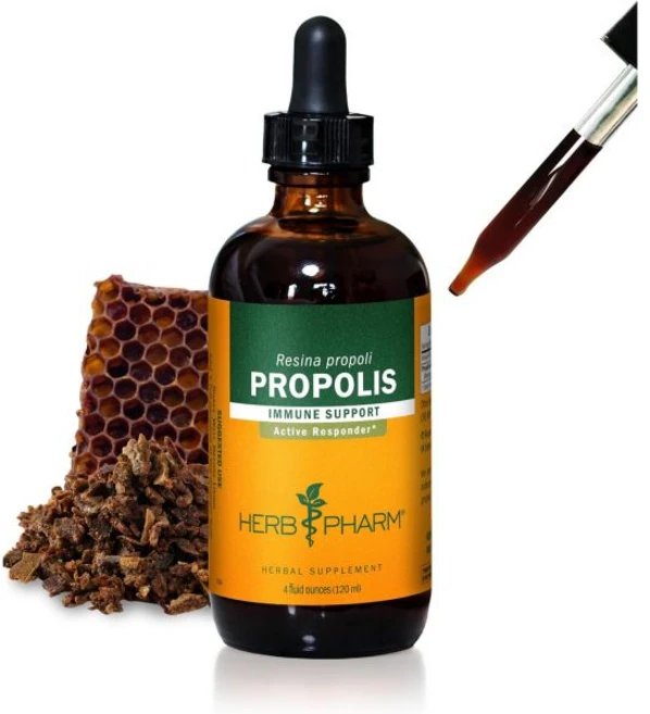 허브팜 프로폴리스 추출물, 120ml, 1개 - 쿠팡