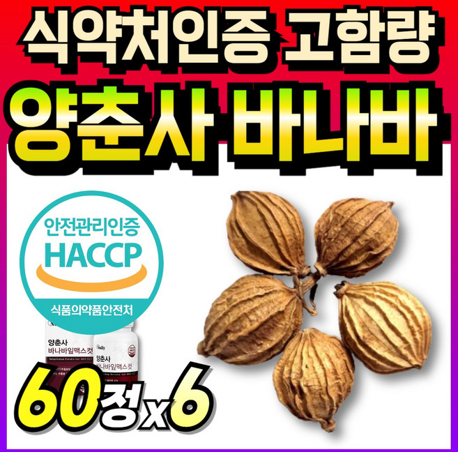 바나바잎 파워 바나바리프 골드 식약처 인증 바나바 슈퍼 플러스 바나잎 프리미엄 바나리프 바나바잎 추출물 복합식품 보조식품 banaba banaba leaf, 6개, 60회분