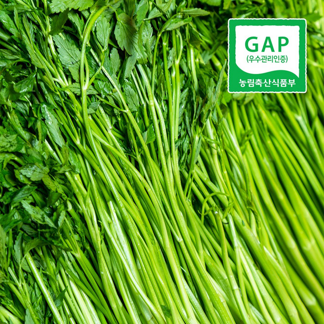 GAP인증 나주 노안 세척 돌미나리 [BZN], 2kg, 1개