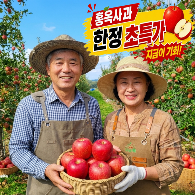 3위 - [딱10일간초특가] 임산부입덧과일 국내산 햇 홍옥사과, 1박스, 2kg